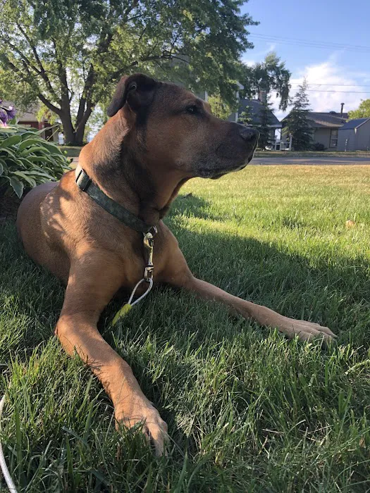North Main Animal Hospital 10