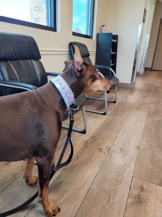 Eau Gallie Veterinary Hospital 12