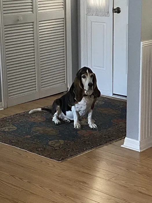 Eau Gallie Veterinary Hospital 12