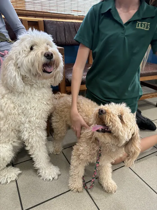 South Patrick Animal Hospital 12