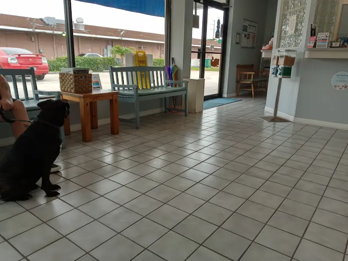 Seaside Veterinary Clinic 7