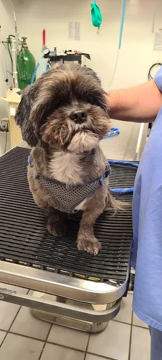 Seaside Veterinary Clinic 2