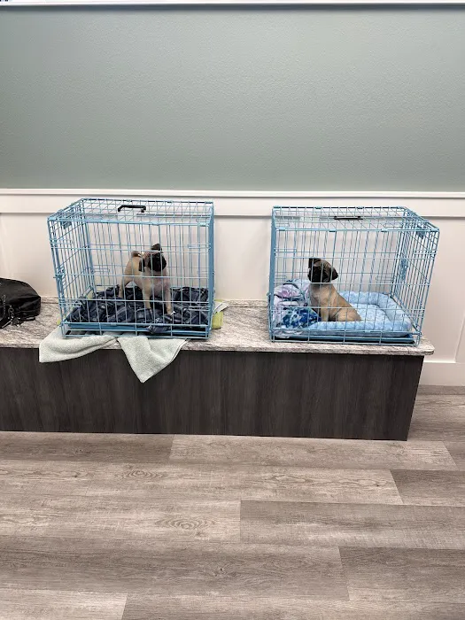 Beachside Animal Hospital 12