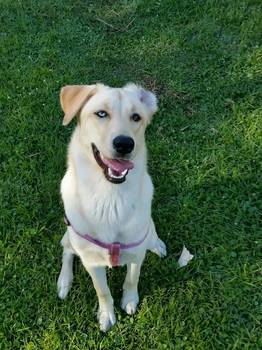 Animal Medical Clinic of North Port 6