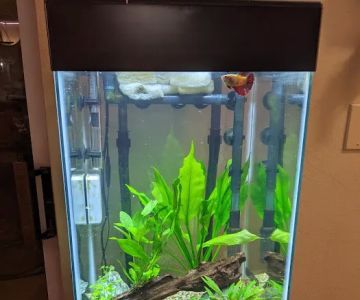 Fishy Business Aquarium