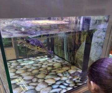 Petco