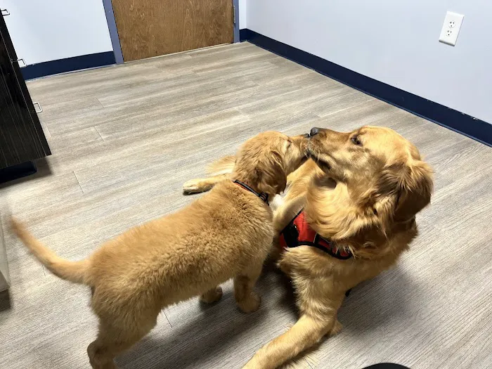 River Run Animal Hospital 12