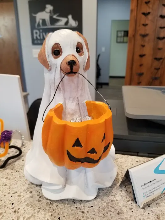 River Run Animal Hospital 12