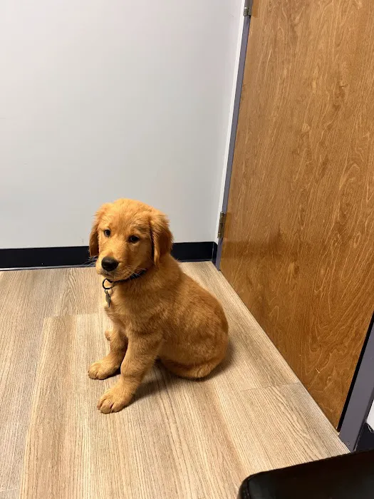River Run Animal Hospital 12