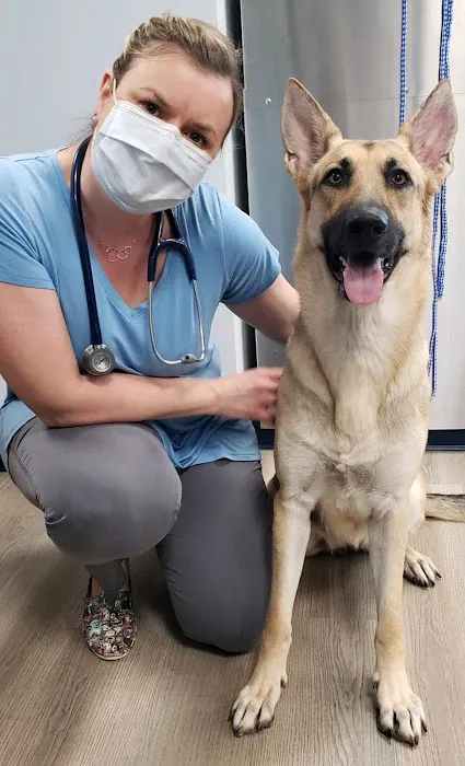 River Run Animal Hospital 12