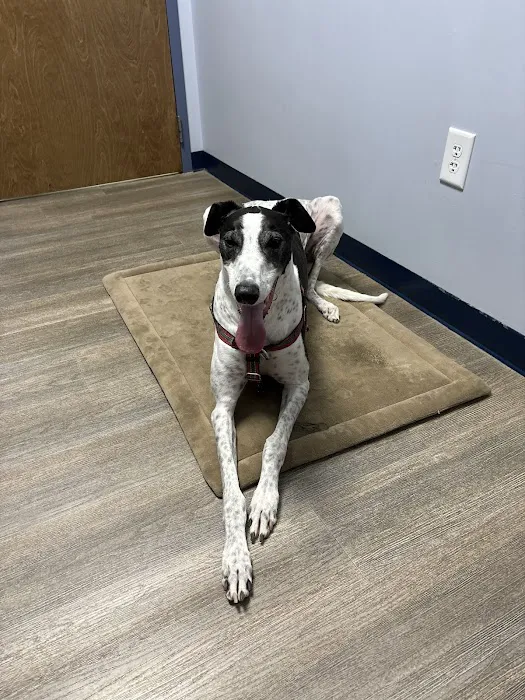 River Run Animal Hospital 12