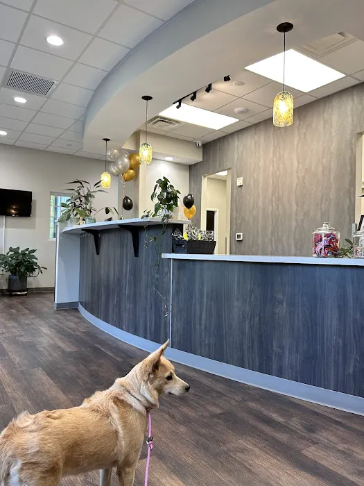 Belmont Animal Hospital 12
