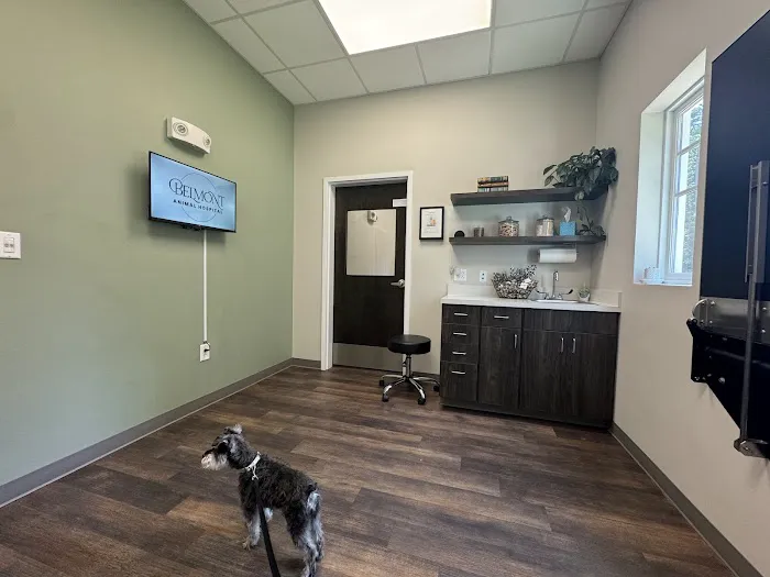 Belmont Animal Hospital 12