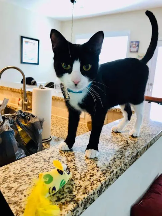 Banfield Pet Hospital 4