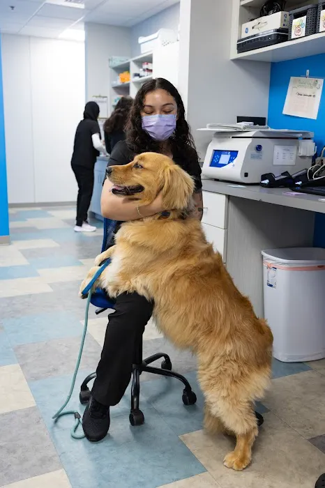 Harrisburg Animal Hospital 2