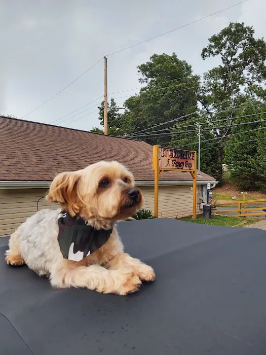 Harrisburg Animal Hospital 6