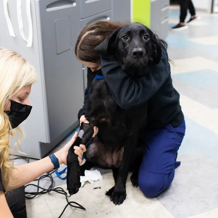 Harrisburg Animal Hospital 5
