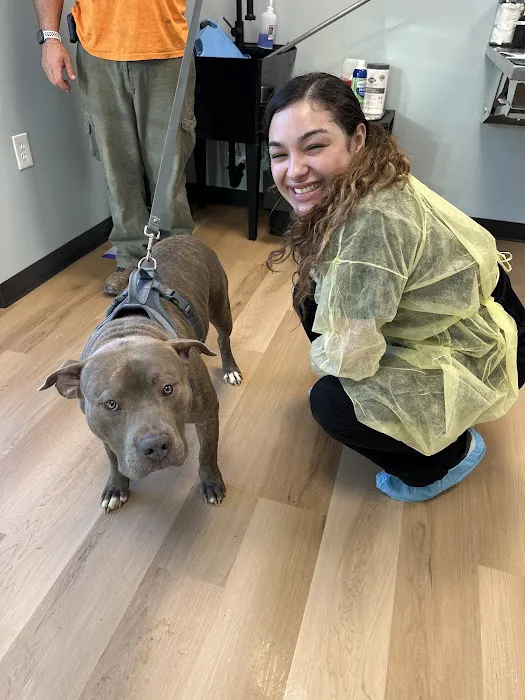 Harrisburg Animal Hospital 3