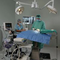 VCA Stoney Creek Animal Hospital ico