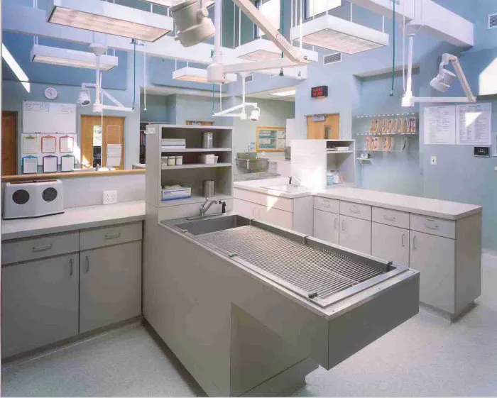 VCA Stoney Creek Animal Hospital 3