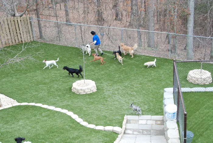 VCA Stoney Creek Animal Hospital 7