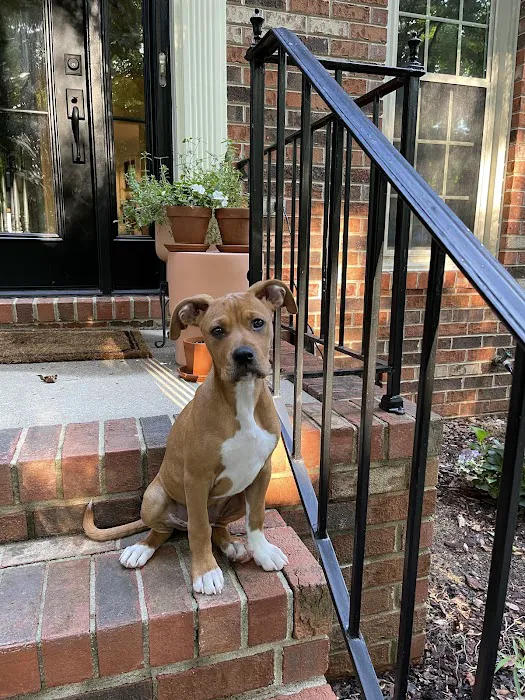 Foster Animal Clinic at Parkway Commons 9