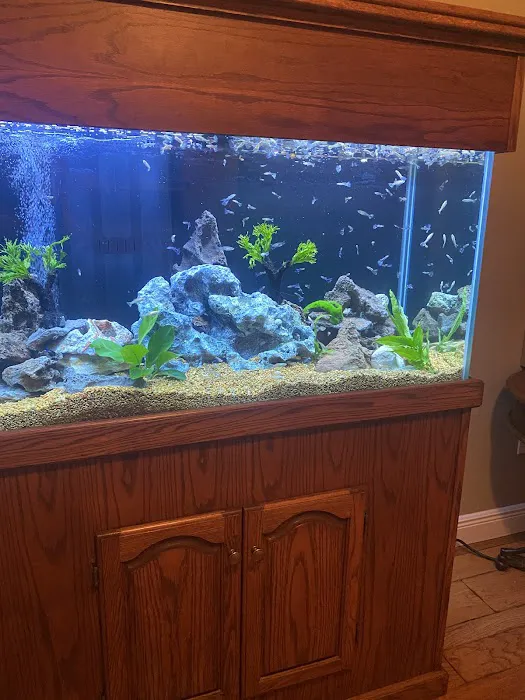 Clean Sharks Aquarium Maintenance 12