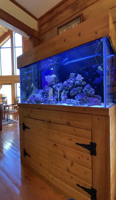 Clean Sharks Aquarium Maintenance 12