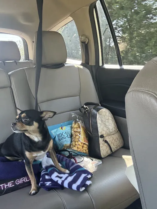 Thrive Pet Healthcare - Mallard Creek 5