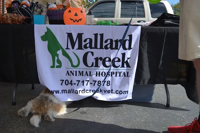 Mallard Creek Animal Hospital 5