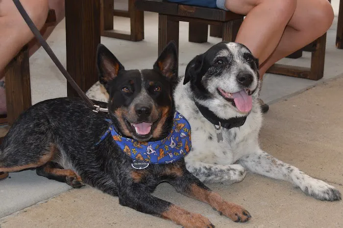 Mallard Creek Animal Hospital 1
