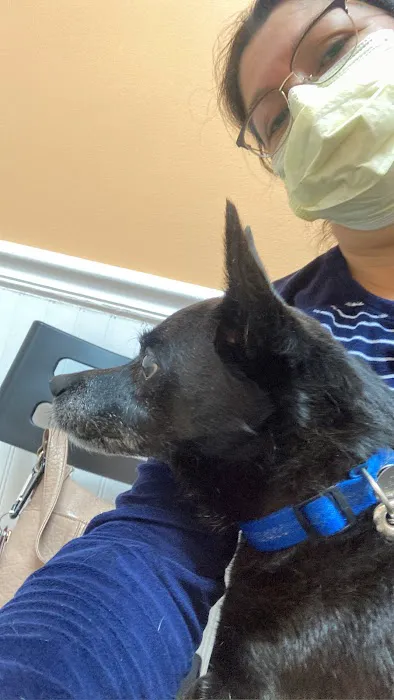 Mallard Creek Animal Hospital: Johnson Rebecca DVM 1