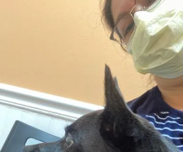 Mallard Creek Animal Hospital: Johnson Rebecca DVM