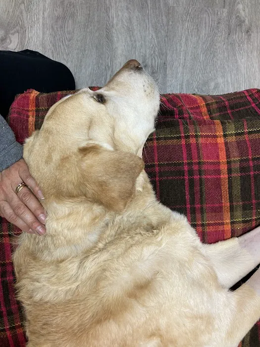 Mallard Creek Animal Hospital: Johnson Rebecca DVM 2
