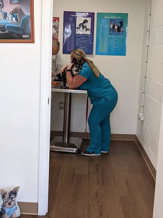 Davis Lake Animal Hospital 12
