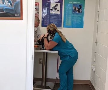 Davis Lake Animal Hospital