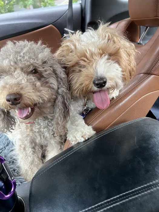 Banfield Pet Hospital 12