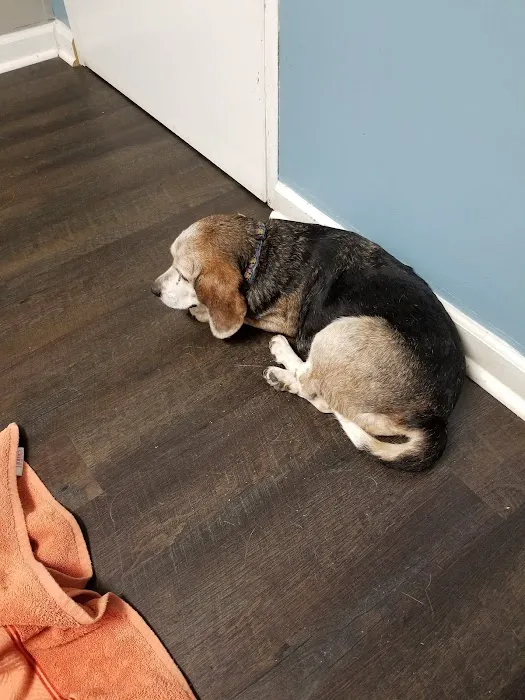 Harris Boulevard Veterinary Clinic 12