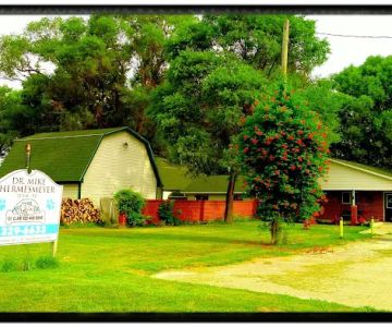 St Clair Bed & Bone: Dr. Mike Hermesmeyer
