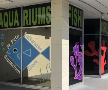 St. Pete Saltwater Aquarium Store