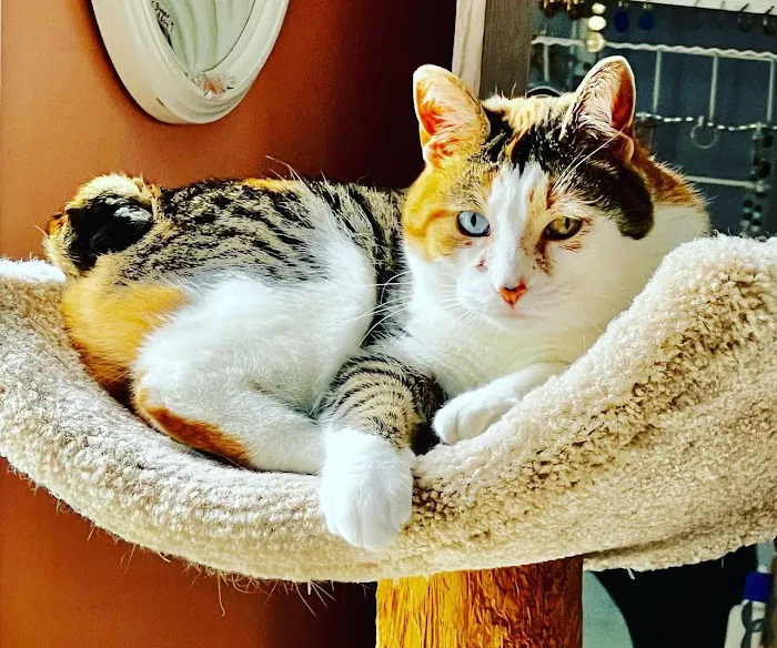 Riverview Veterinary Center 6