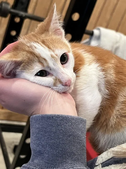 Riverview Veterinary Center 3