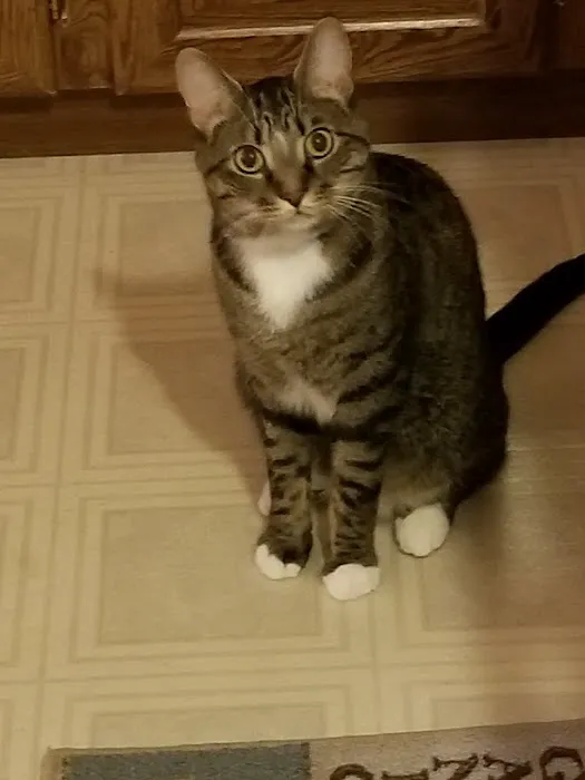 Riverview Veterinary Center 4