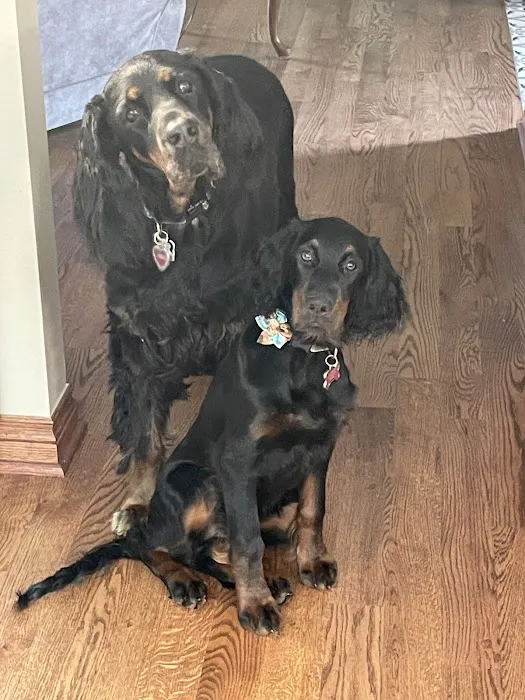 Wadhams Road Animal Clinic 3