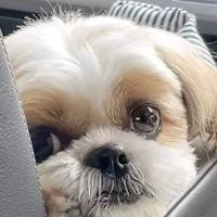 Marysville Veterinary Clinic ico