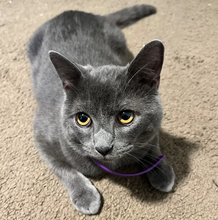Marysville Veterinary Clinic 7