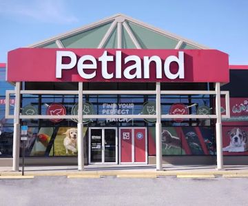 Petland Largo