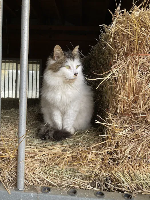 Black River Veterinary Clinic 8