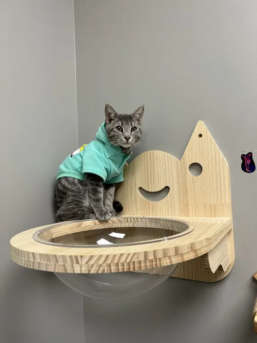 Black River Veterinary Clinic 1