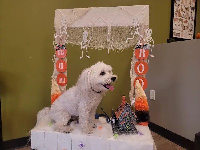 Black River Veterinary Clinic 7